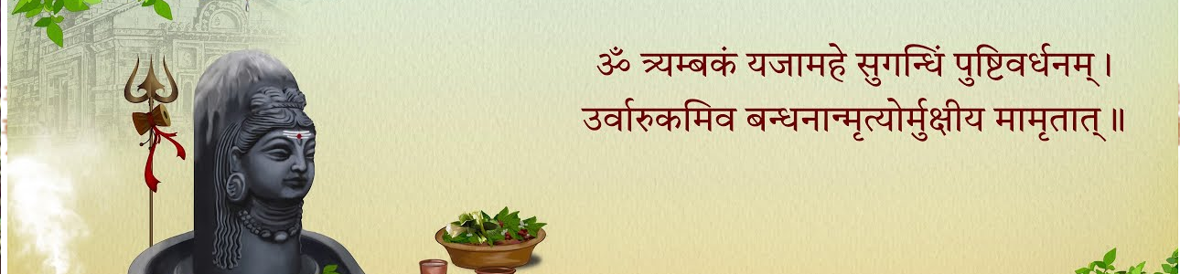 Mahamrityunjaya Banner