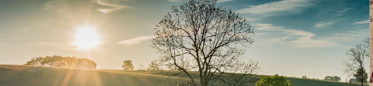 Pratah Samarana Stotram Banner